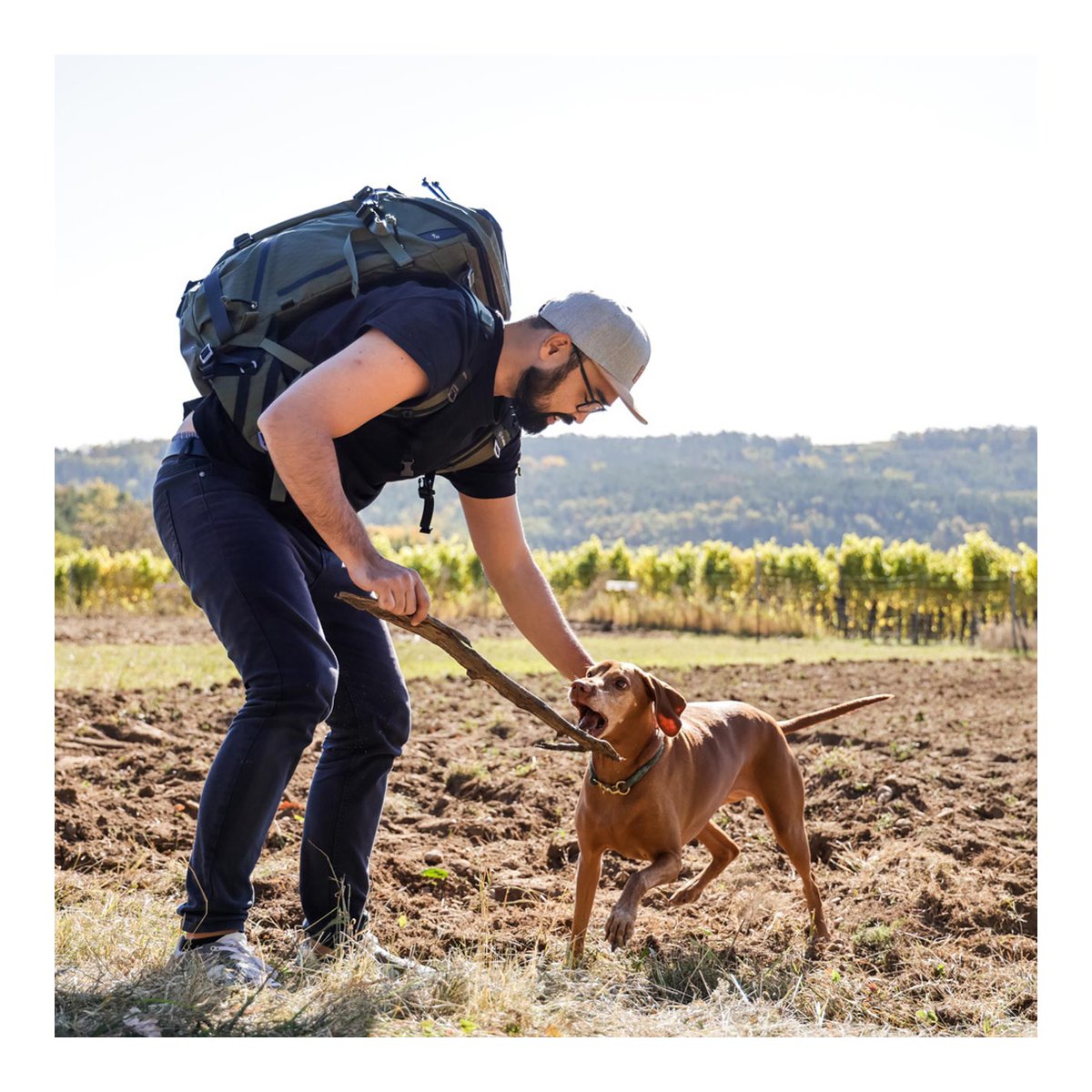 F-Stop DuraDiamond Tilopa - Zypresse - Anwendungsbeispiel: Mann mit Rucksack spielt mit Hund im Weinberg. F-Stop DuraDiamond Tilopa - Zypresse - Anwendungsbeispiel: Mann mit Rucksack spielt mit Hund im Weinberg.