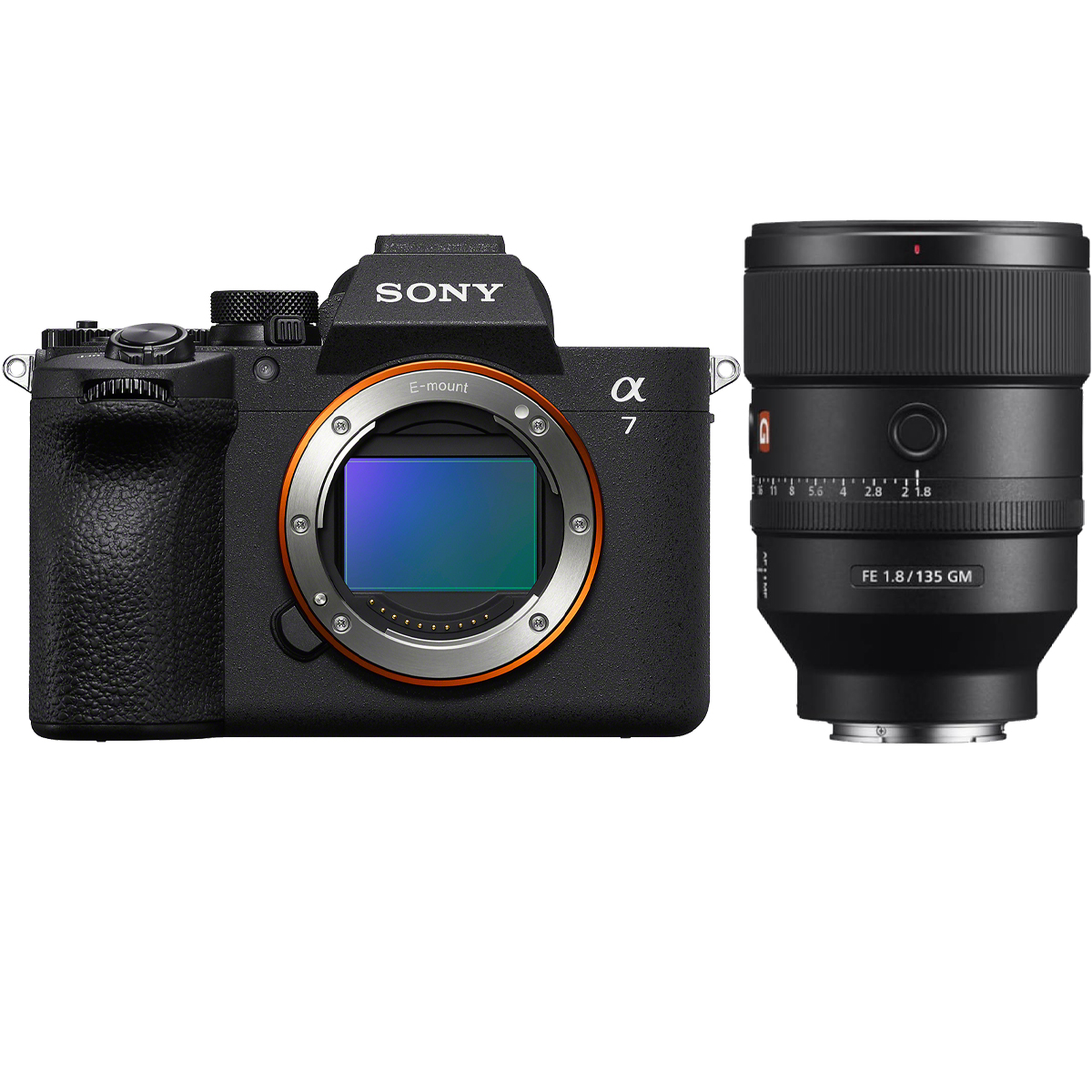 Sony Alpha 7 V + Sony 135 mm 1:1,8 GM