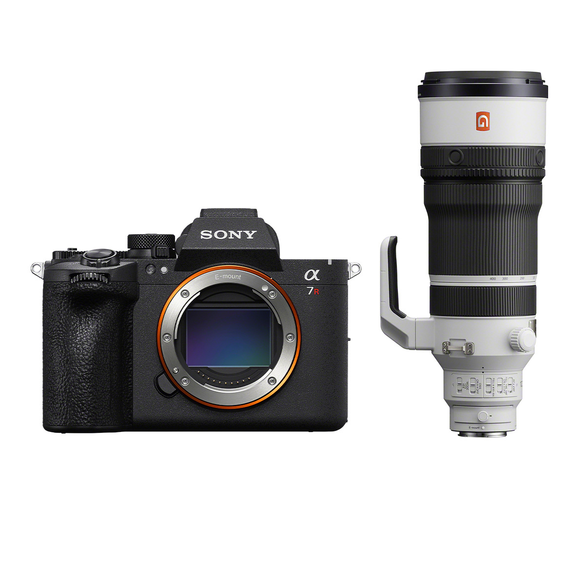 Sony Alpha 7R VI + Sony 100-400 mm 1:4,5 FE GM