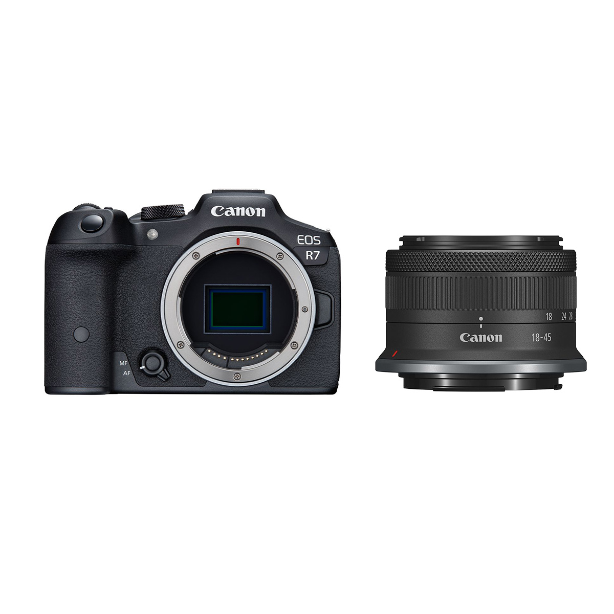 Canon EOS R7 + Canon RF-S 18-45 mm 1:4,5-6,3 IS STM