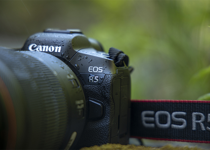 Canon EOS R5 Nahaufnahme Schriftzug mit RF Objektiv – Canon Vollformat Systemkamera Detailansicht