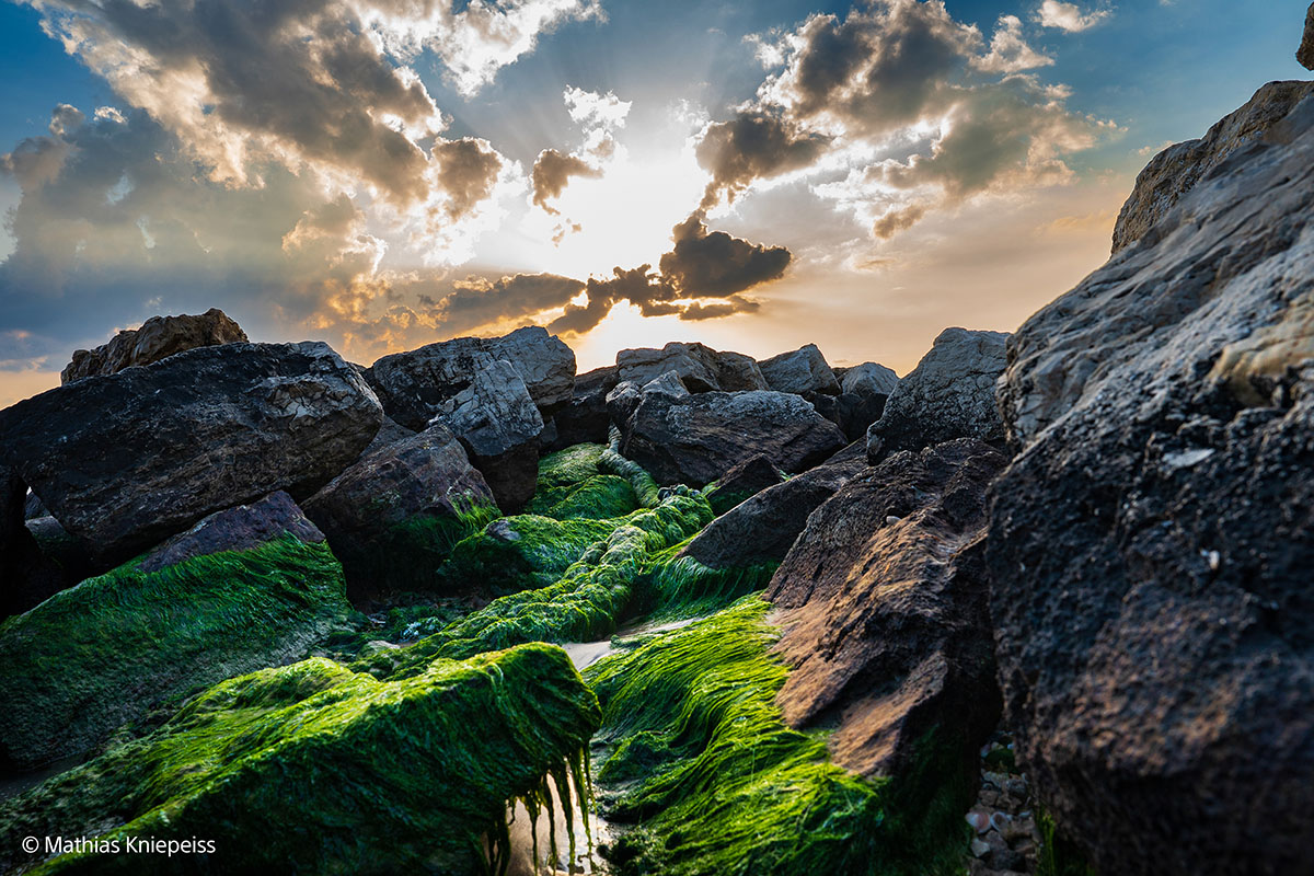 Sony SEL 24-70 mm 1:2,8 GM II