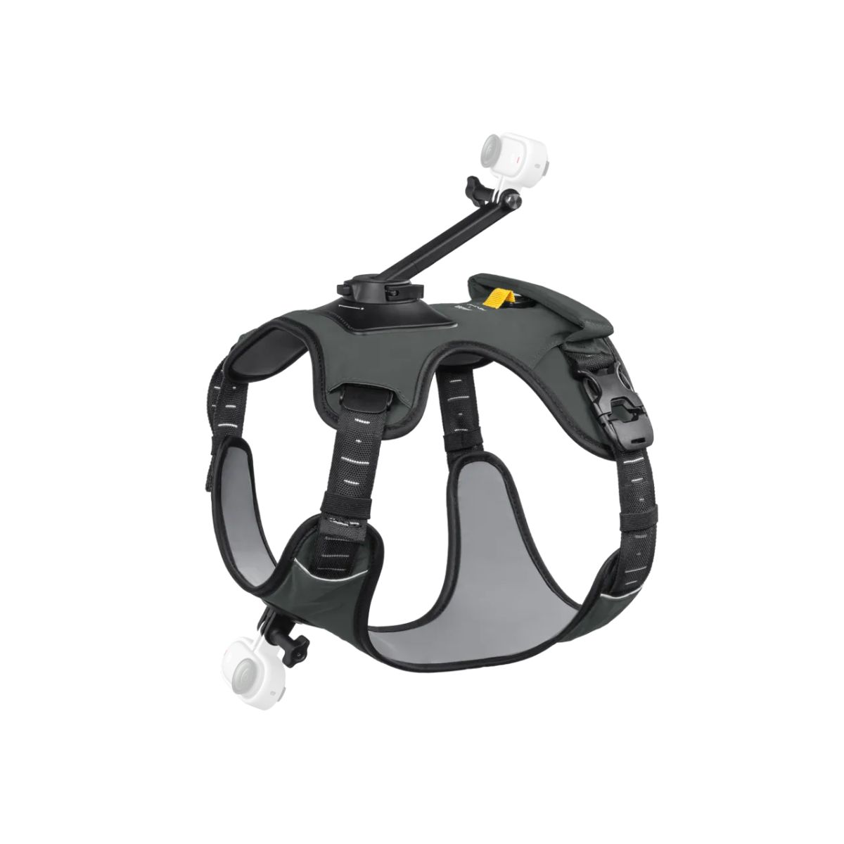 Insta360 Haustiergeschirr-Halterung Größe L