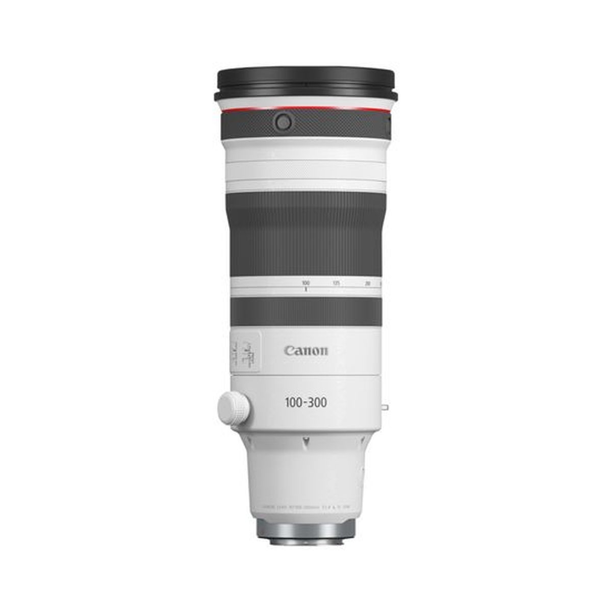 Canon RF 100-300 mm 1:2,8 L IS USM