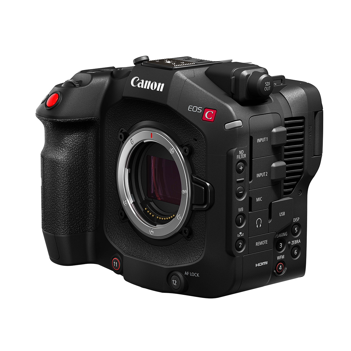 Canon EOS C80 + Canon 24-105 mm 1:2,8 RF  L IS USM Z