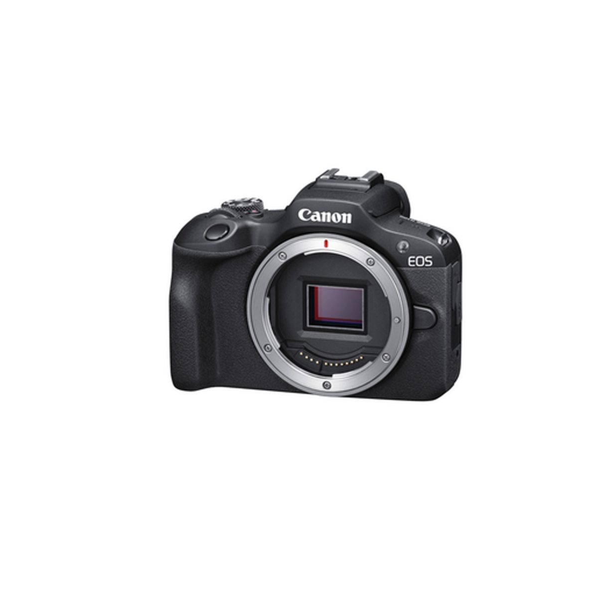 Canon EOS R100 + Canon RF-S 18-45 mm 1:4,5-6,3 IS STM + Canon RF-S 55-210 mm 1:5,0-7,1 IS STM