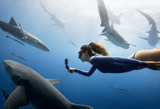 Frau taucht mit einer DJI Osmo Action 4 Kamera mit Haien