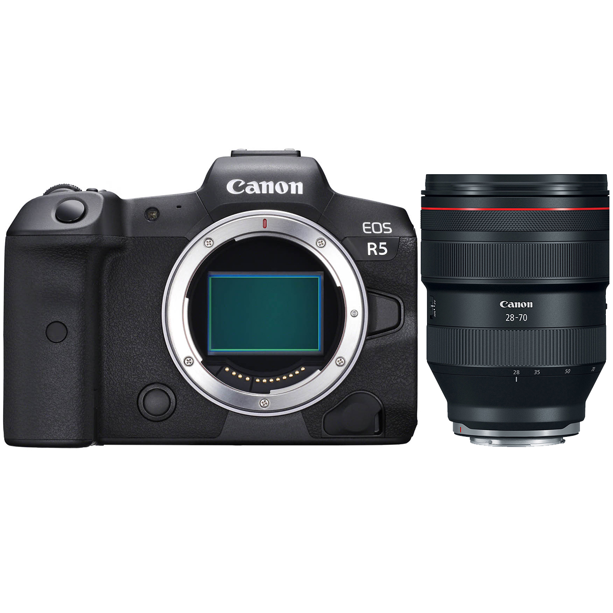 Canon EOS R5 + Canon RF 28-70 mm 1:2,0 L USM Canon EOS R5 + Canon RF 28-70 mm 1:2,0 L USM