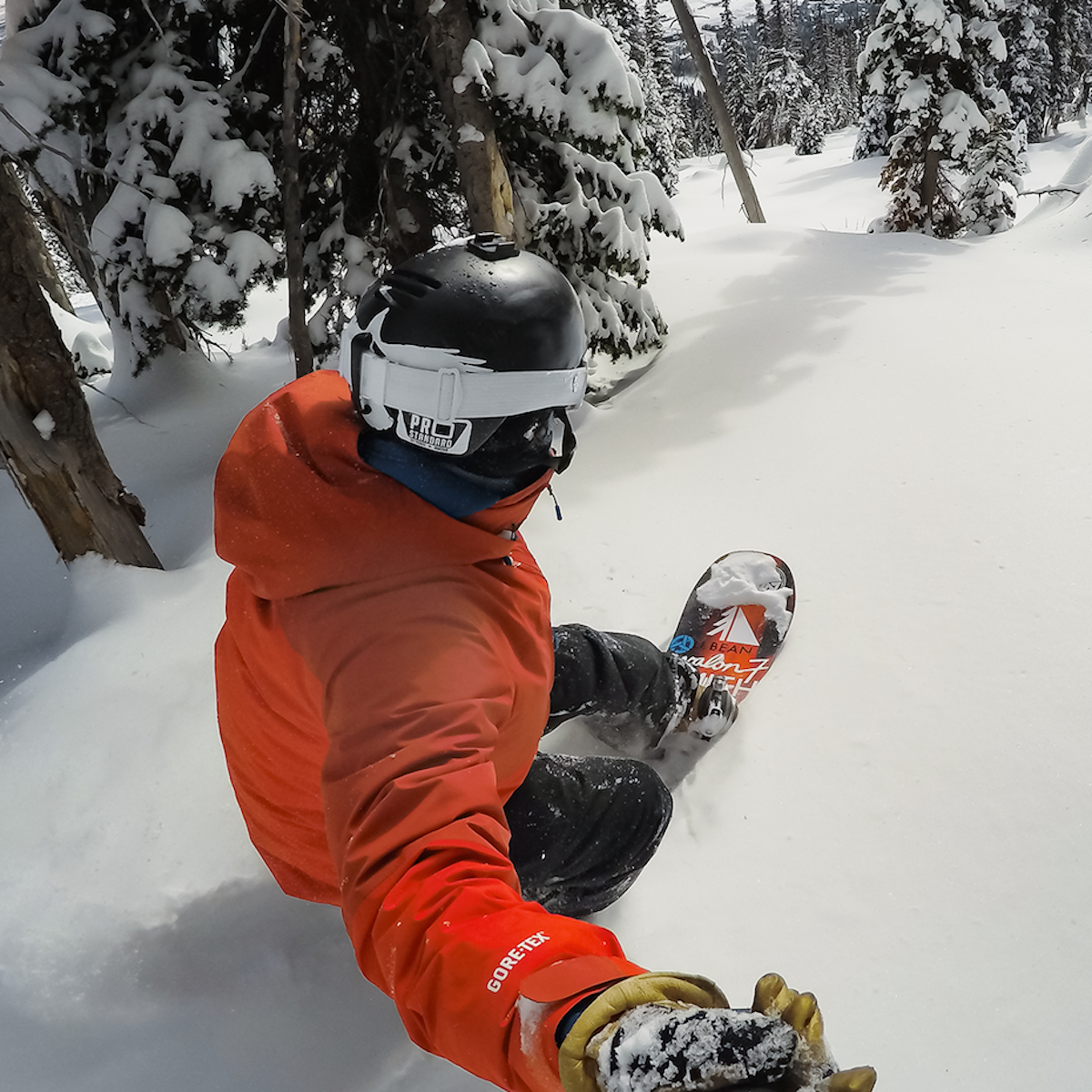 GoPro Gebogene + flache Klebehalterungen