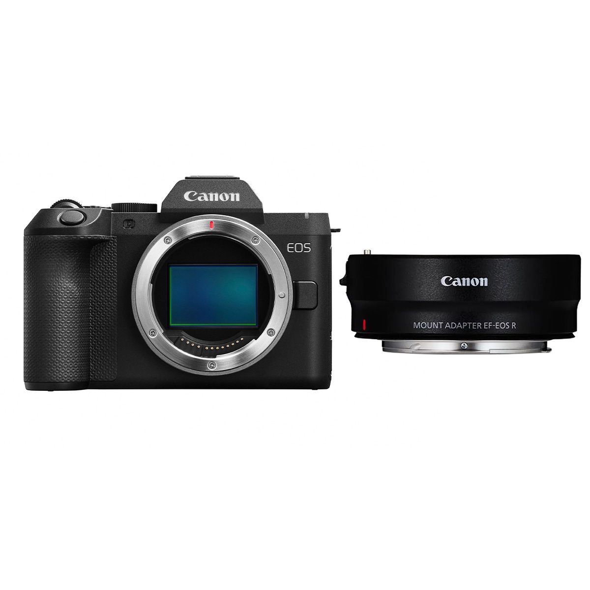Canon EOS R8 II + Canon EF-EOS R Adapter