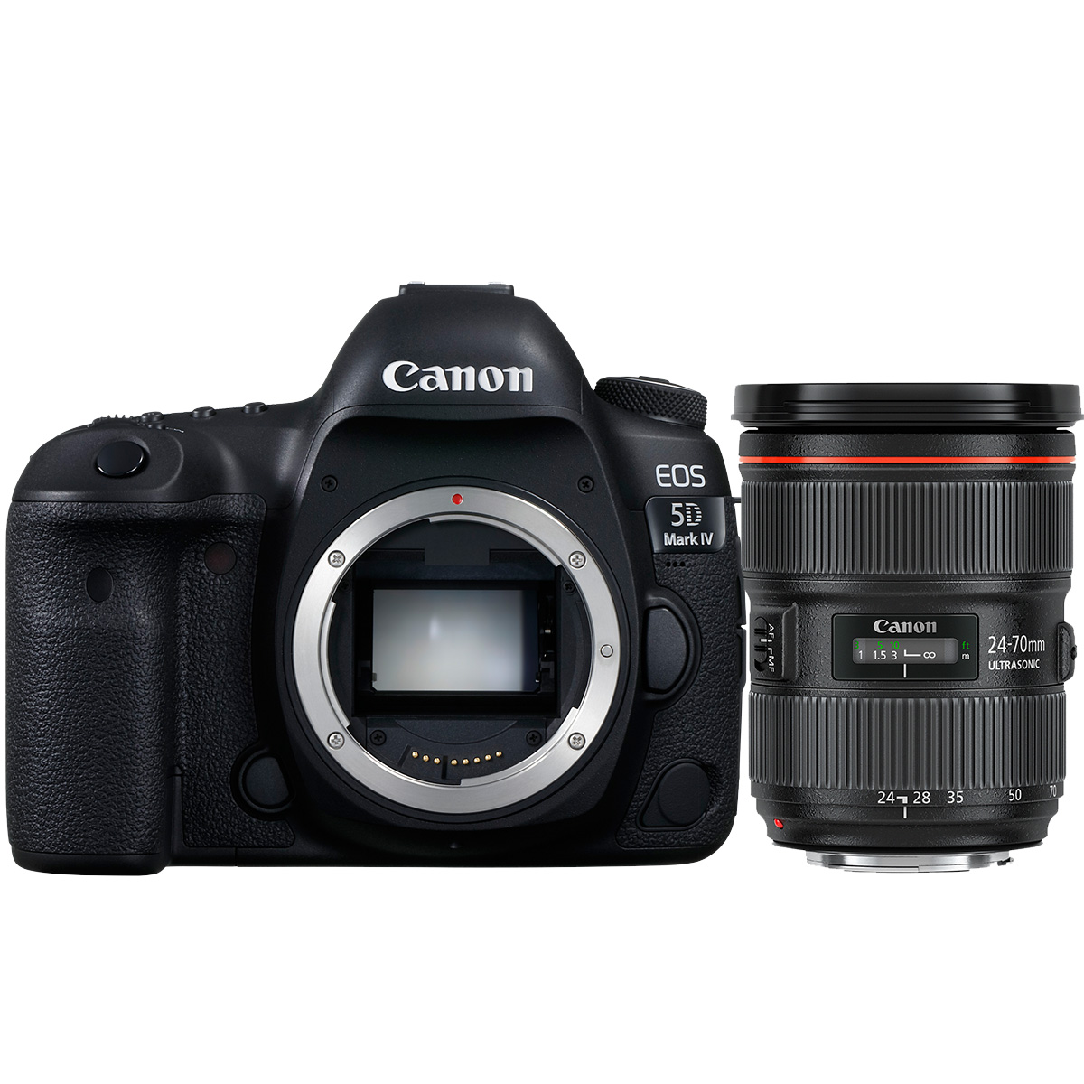 Canon EOS 5D Mark IV + Canon EF 24-70mm 1:2,8 L II USM