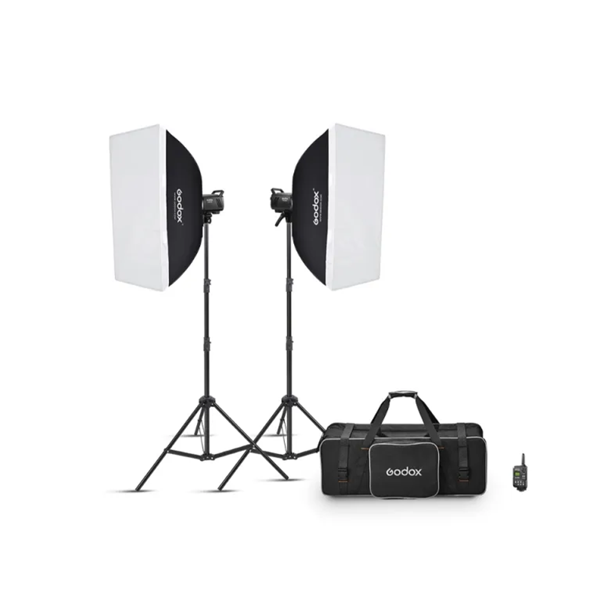 Godox MS300V-F Dual Studio Flash Kit