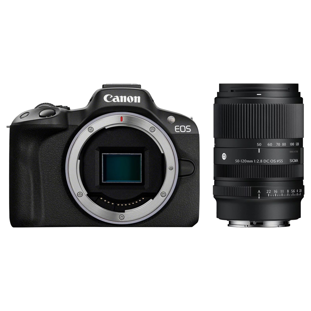 Canon EOS R50 + Sigma 50-120 mm 1:2,8 DC OS (C) Canon RF