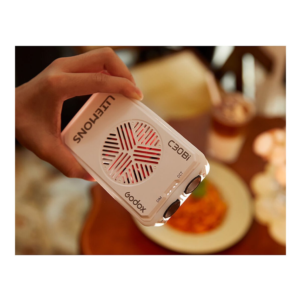 Godox C30BI LITEMONS Bi-color Pocket LED Panel Light