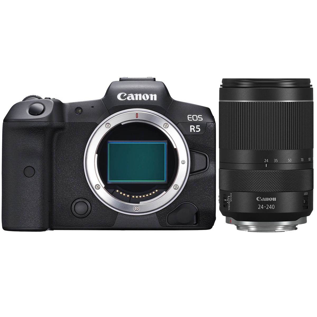 Canon EOS R5 + Canon RF 24-240 mm 1:4-6,3 IS USM Canon EOS R5 + Canon RF 24-240 mm 1:4-6,3 IS USM
