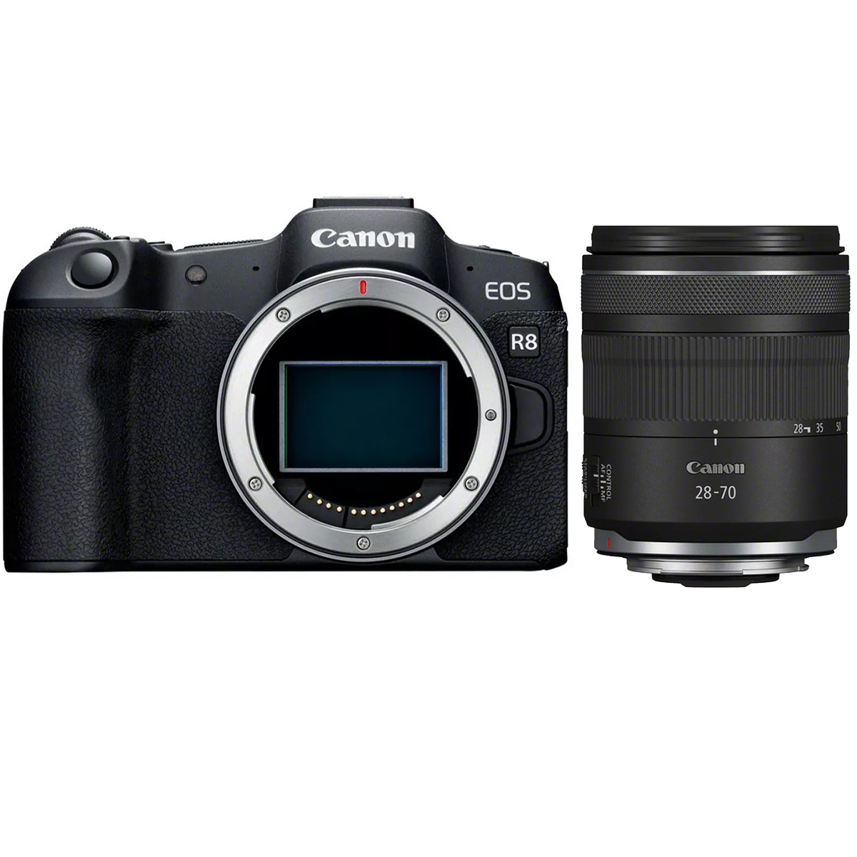 Canon EOS R8 + Canon 28-70 mm 1:2,8 RF IS STM Canon EOS R8 + Canon 28-70 mm 1:2,8 RF IS STM
