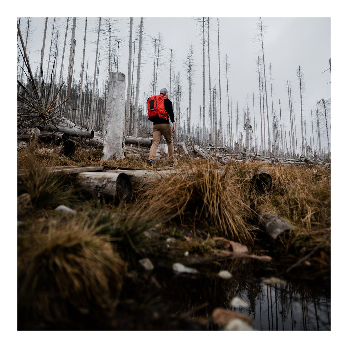 F-Stop DuraDiamond Tilopa Bundle - Magma - Anwendungsbeispiel: Person mit rotem Rucksack von hinten in Waldlandschaft.