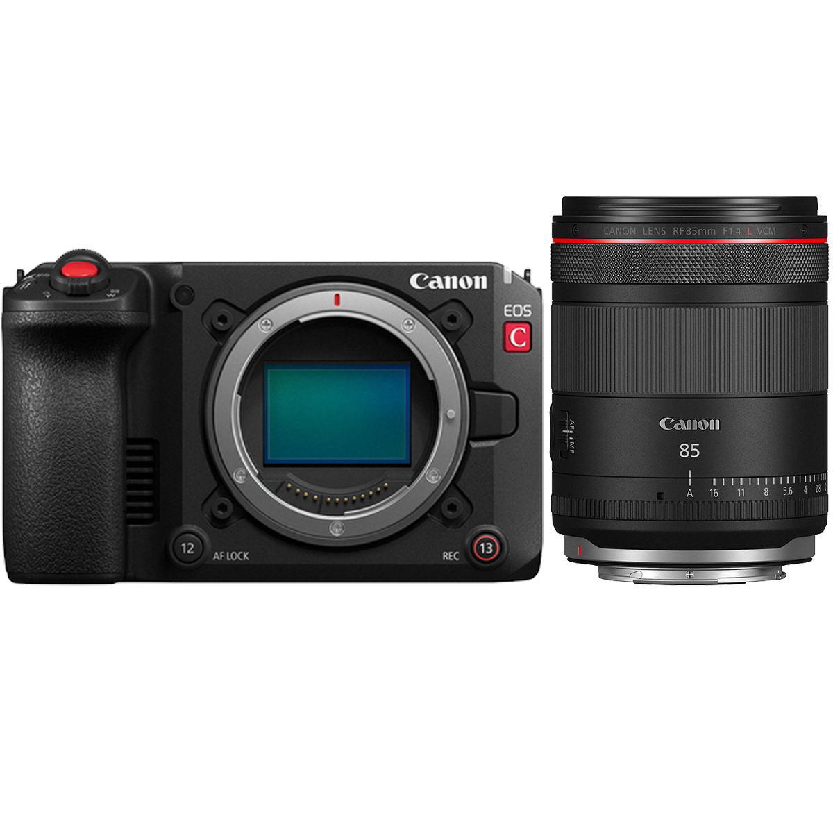 Canon EOS C50 + Canon 85 mm 1:1,4 RF L VCM