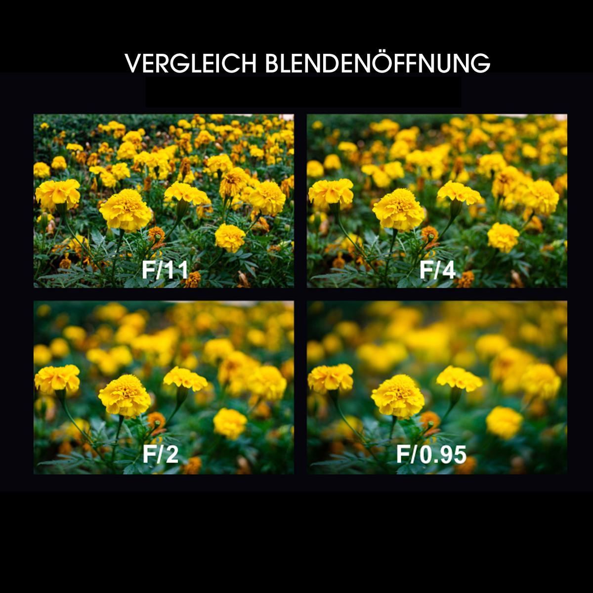 LAOWA Argus 33mm f/0,95 CF APO für Fuji X
