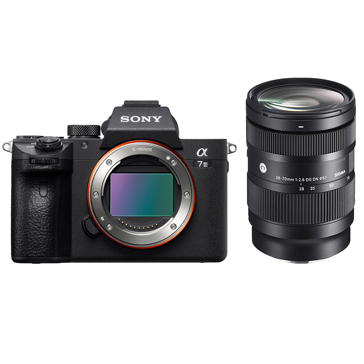 Sony Alpha 7 III + Sigma 28-70 mm 1:2,8 DG DN Contemporary E-Mount Sony Alpha 7 III + Sigma 28-70 mm 1:2,8 DG DN Contemporary E-Mount