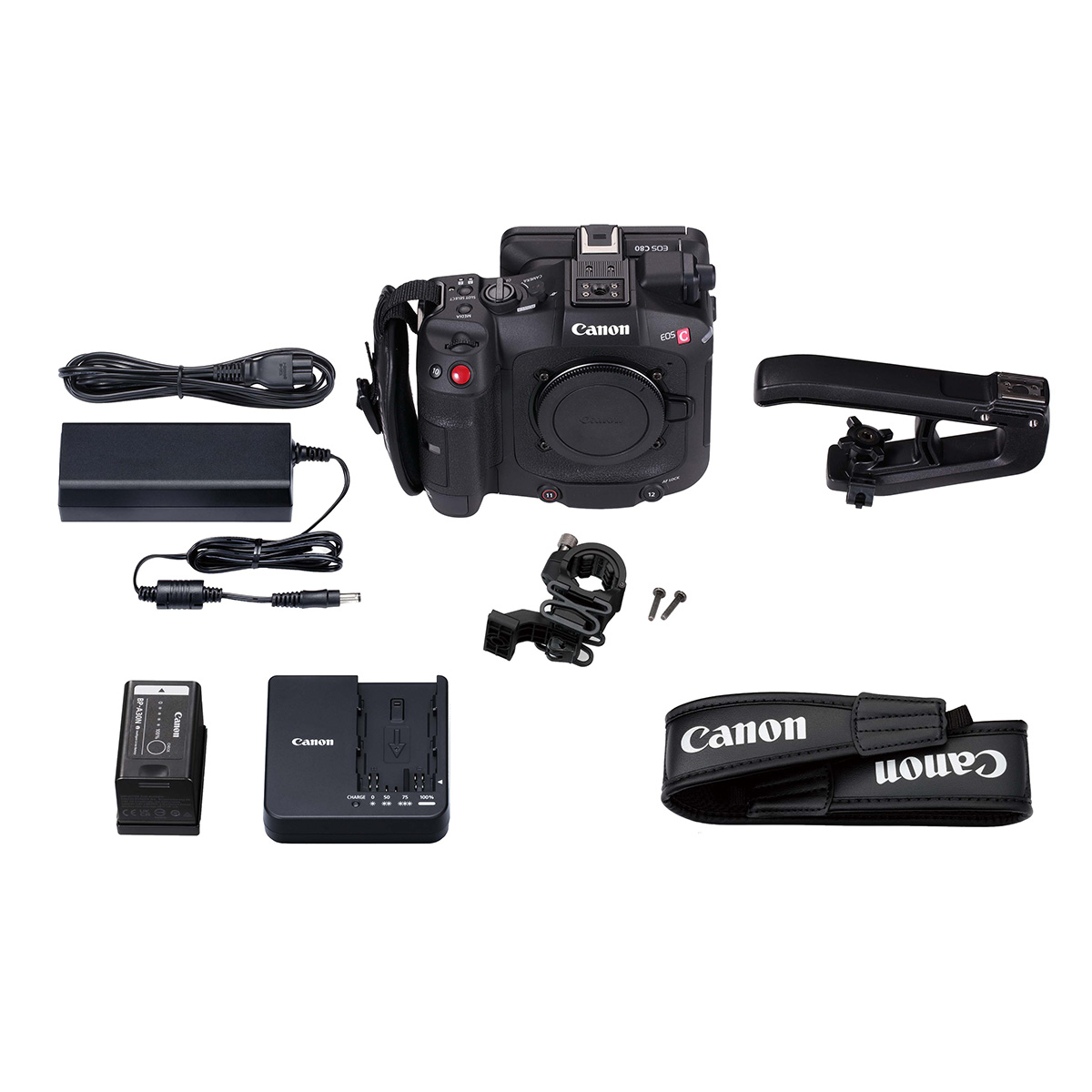 Canon EOS C80 + Canon 24-105 mm 1:2,8 RF  L IS USM Z