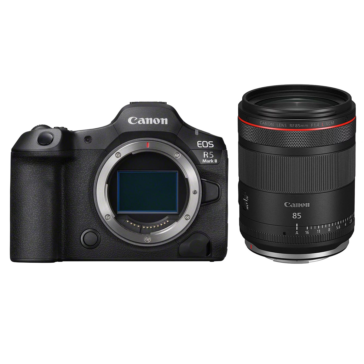 Canon EOS R5 II + Canon 85 mm 1:1,4 RF L VCM