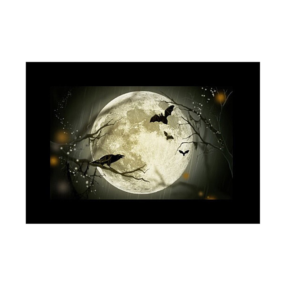 Godox Slide Filter AK-S02 (10 pcs)