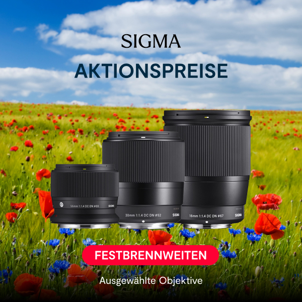 Attraktive Aktionspreise auf Sigma Festbrennweiten