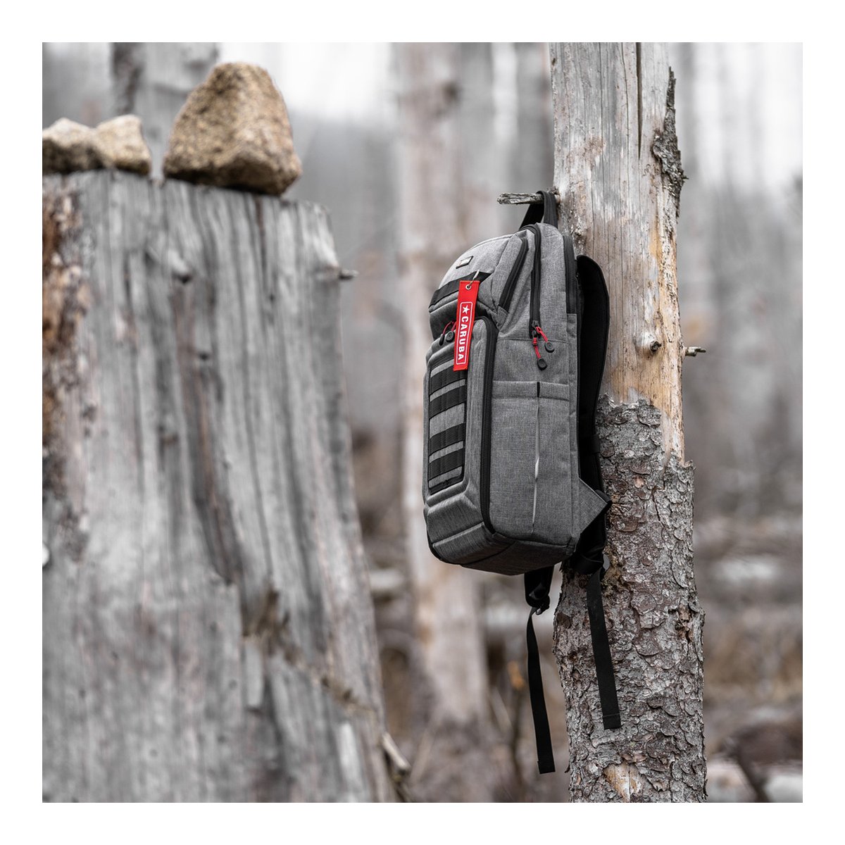 Caruba Skyline 100 Drohnenpack Grau - Anwendungsbeispiel: Grau-schwarzer Fotorucksack mit rotem Anhänger hängt an Baumstamm in Natur.