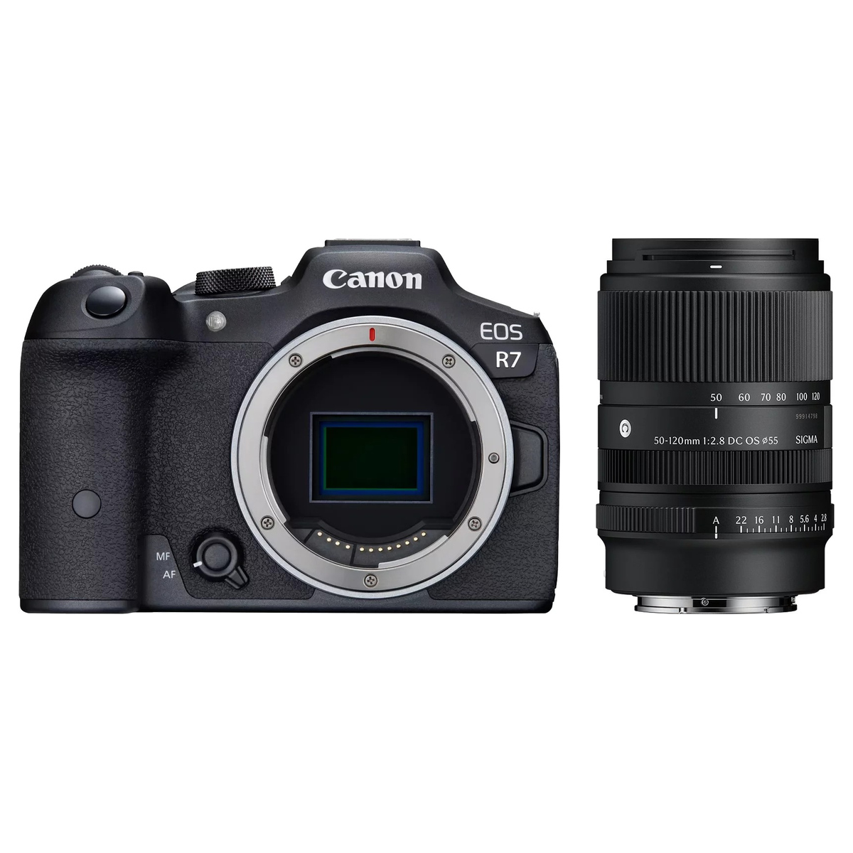 Canon EOS R7 + Sigma 50-120 mm 1:2,8 DC OS (C) Canon RF
