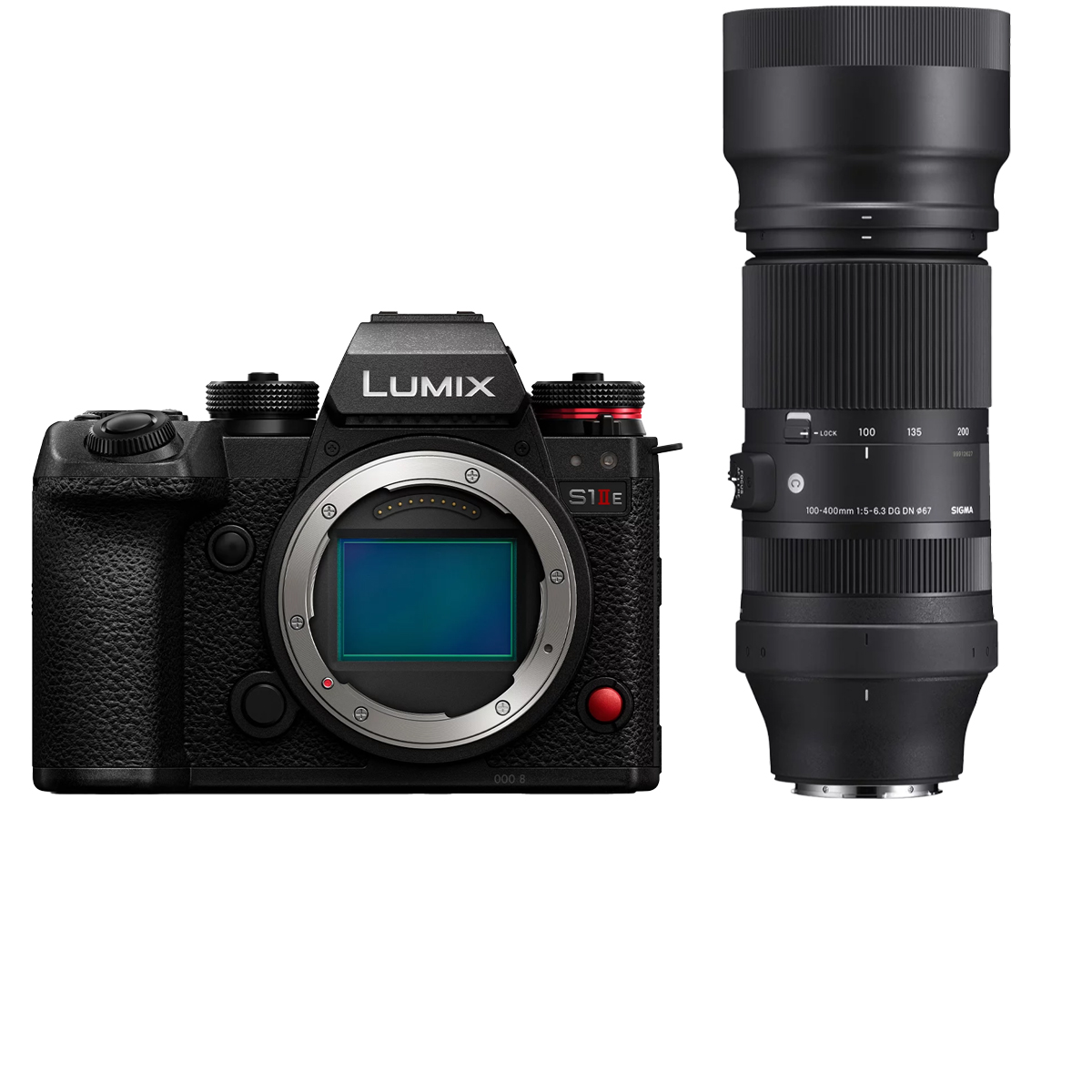 Panasonic DC-S1 IIE + Sigma 100-400 mm 1:5,0-6,3 DN OS (C)