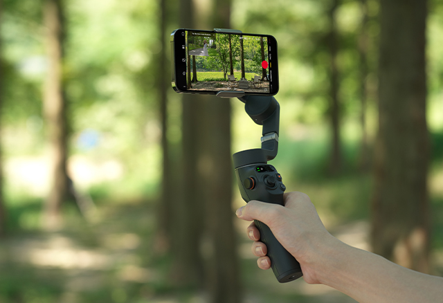 Ein Smartphone angeschlossen an das DJI Osmo Mobile 6 Gimbal filmt in den Wald