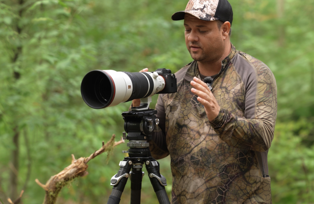 Wildlife Fotograf Michael Falk mit der Sony Alpha 7R VI und dem Sony 100-400 mm 1:4,5 GM OSS Dachs