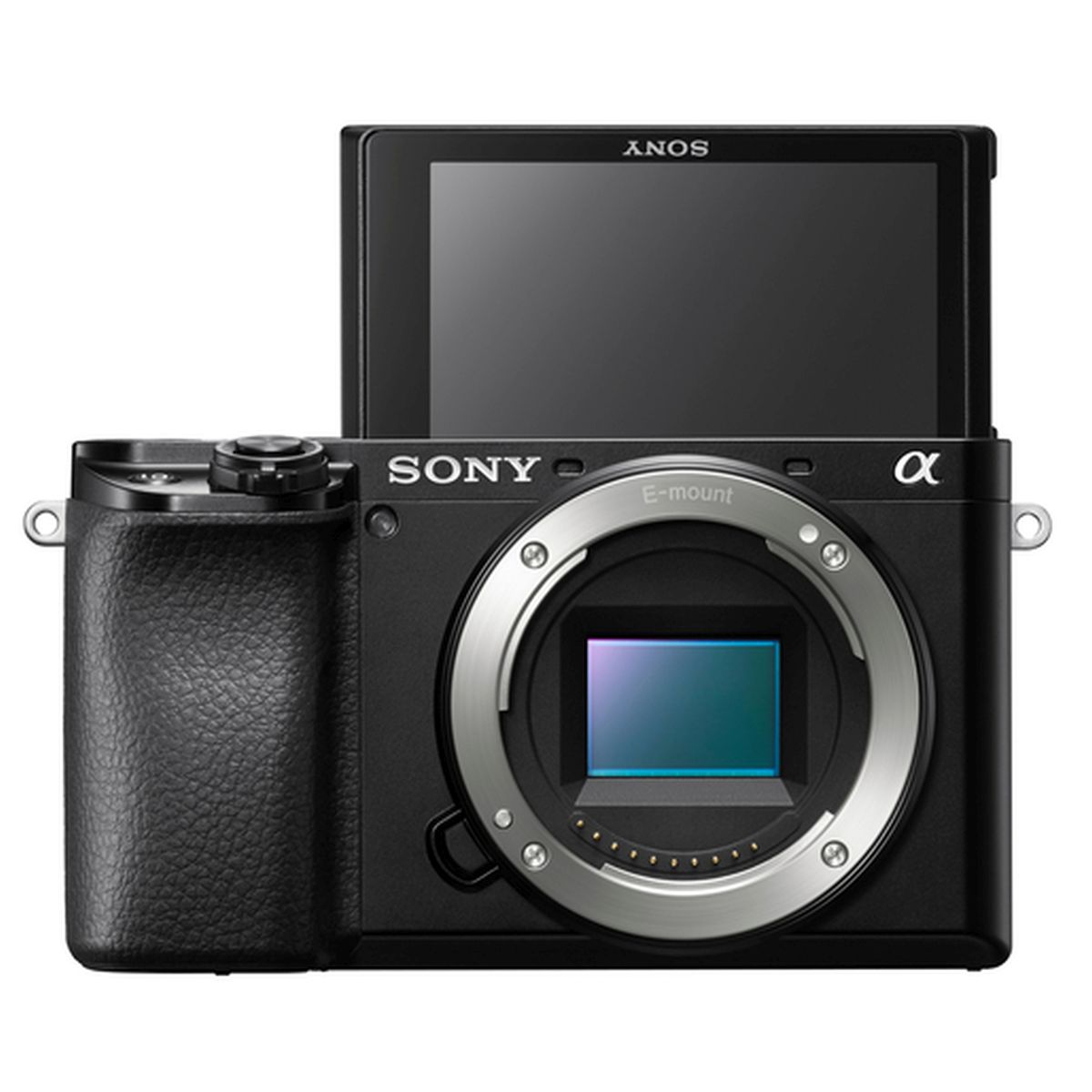 Sony Alpha 6100A Schwarz + Sony 16-50 mm 1:3,5-5,6 PZ OSS II + Sony 55-210 mm 1:4,5-6,3 OSS E-Mount