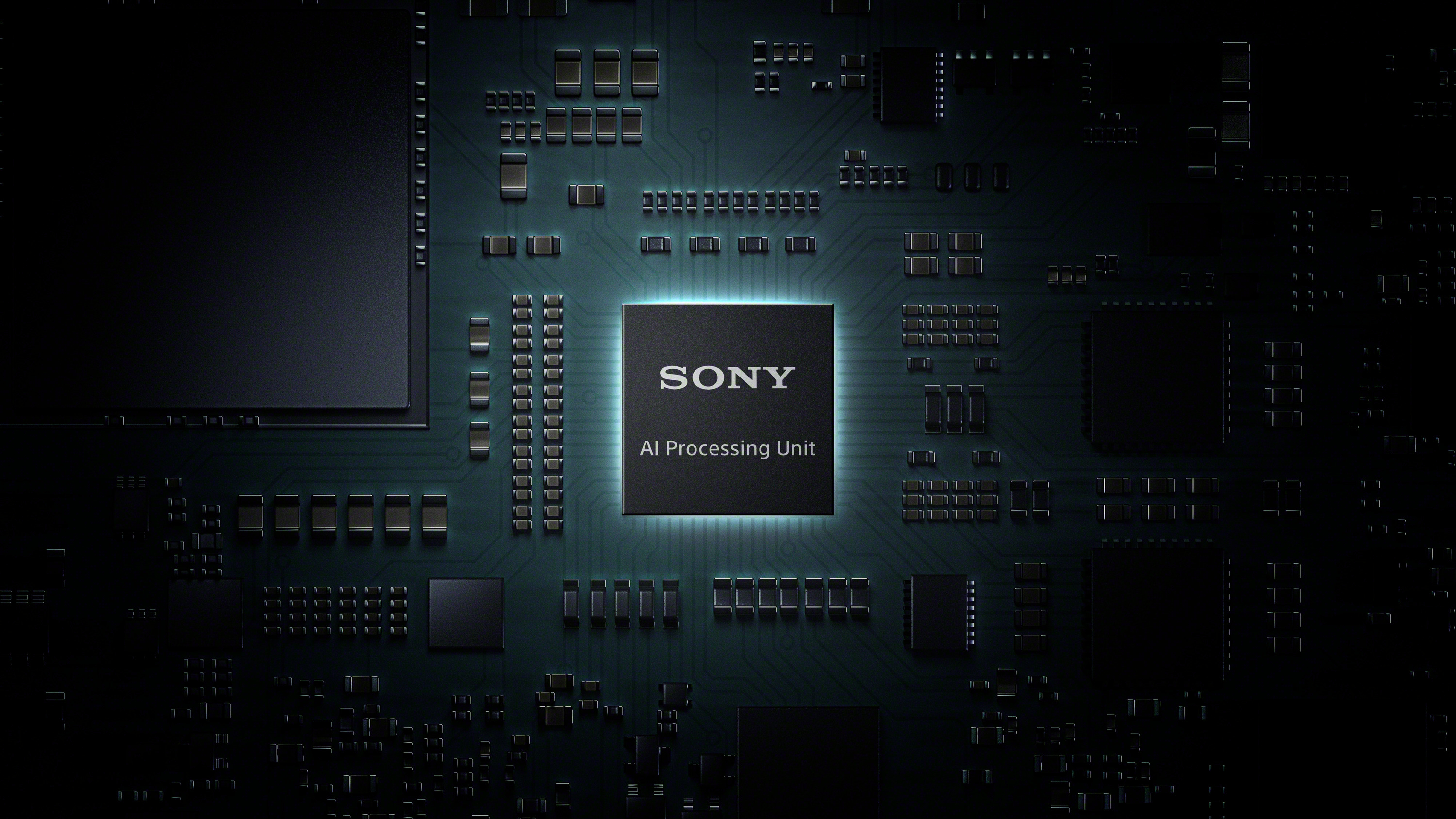 Sony HXR-NX800 4K HDR NXCAM Camcorder mit 20x Zoom
