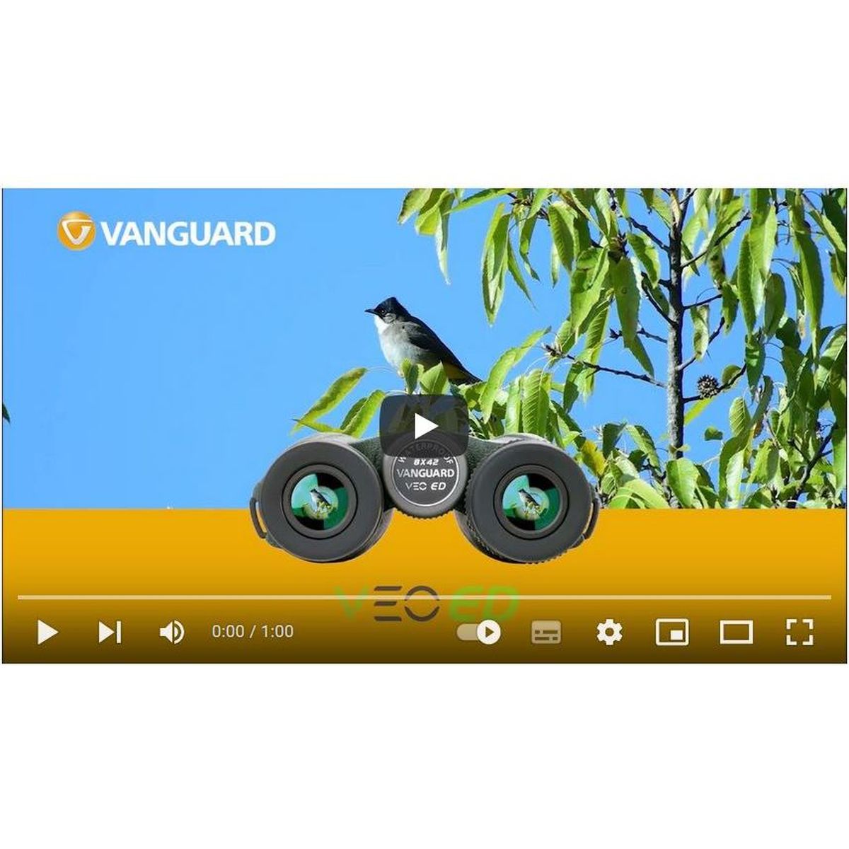 Vanguard VEO ED 1250