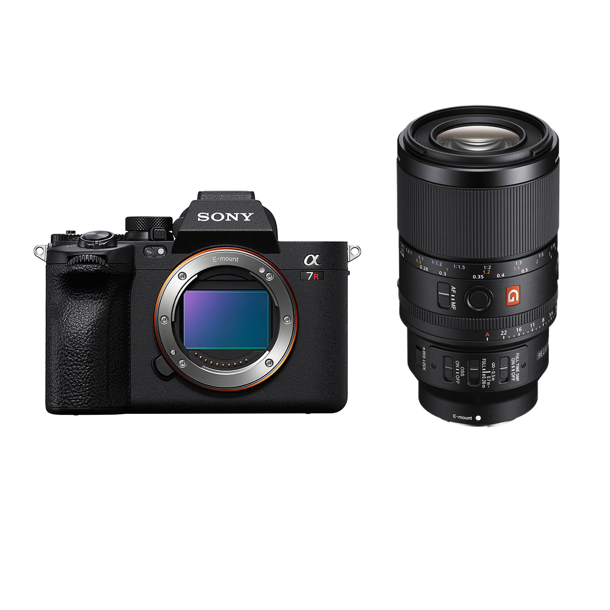 Sony Alpha 7R V + Sony 100 mm 1:2,8 Makro GM OSS