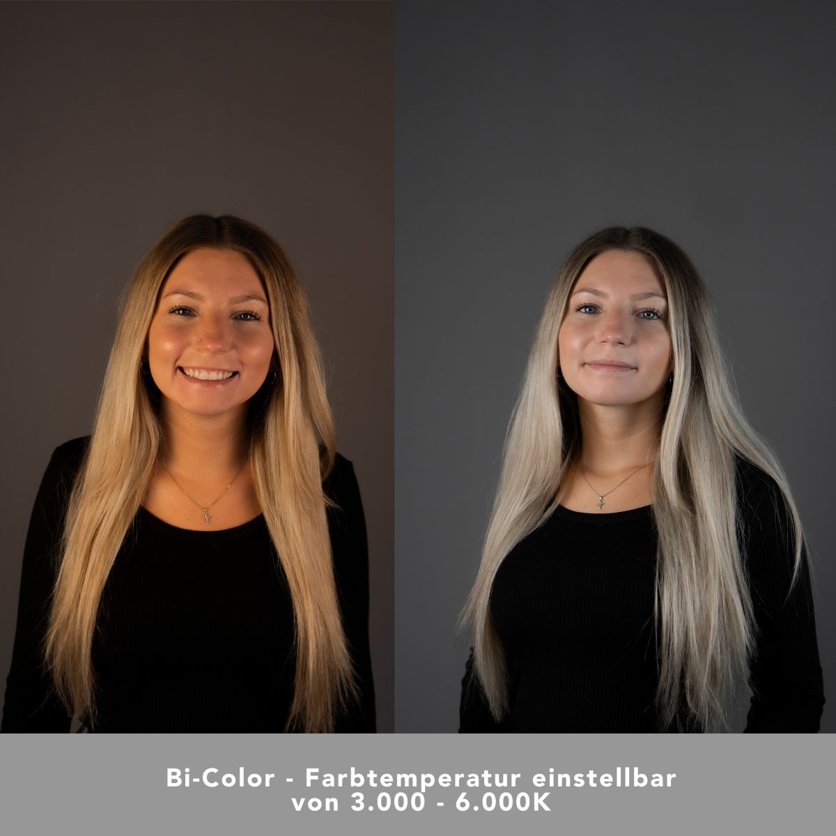 Walimex pro LED 60W Softbox 40 x 60 cm Bi Color Kit 1