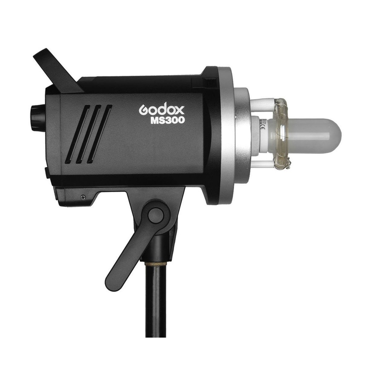 Godox MS300-D Kit