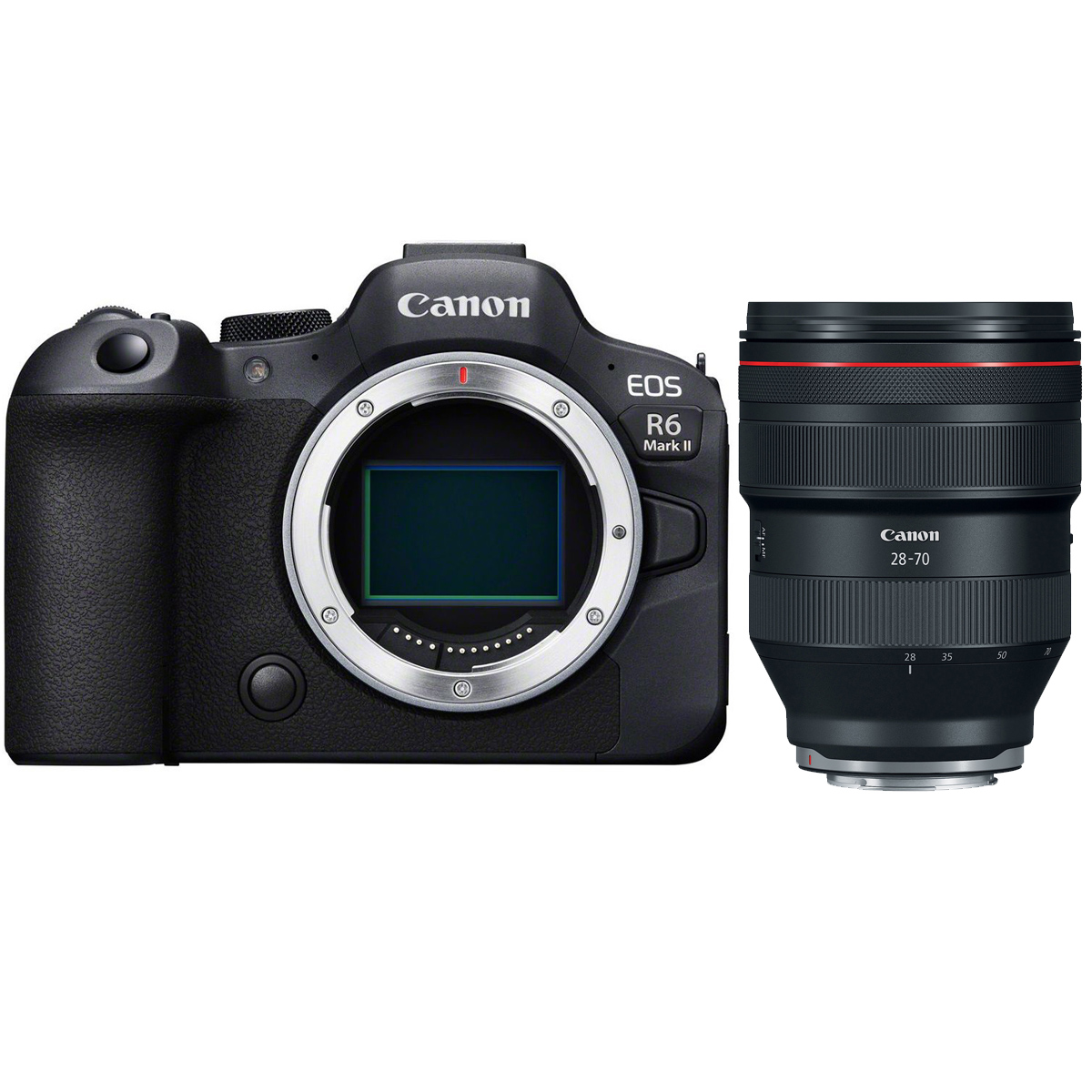 Canon EOS R6 Mark II + Canon 28-70 mm 1:2,0 RF