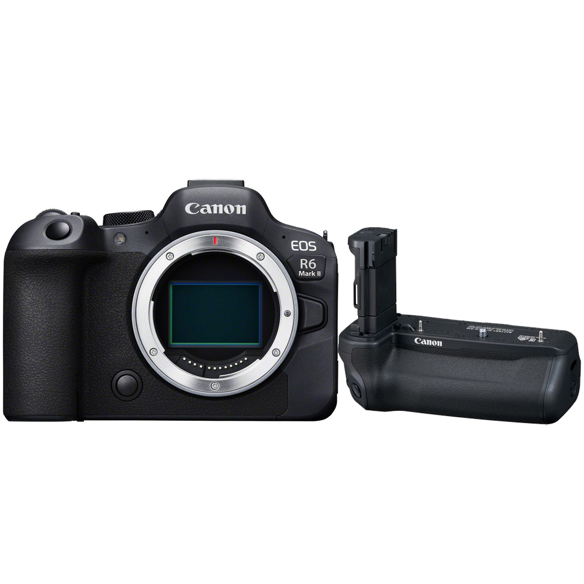 Canon EOS R6 Mark II + Canon BG-R 10