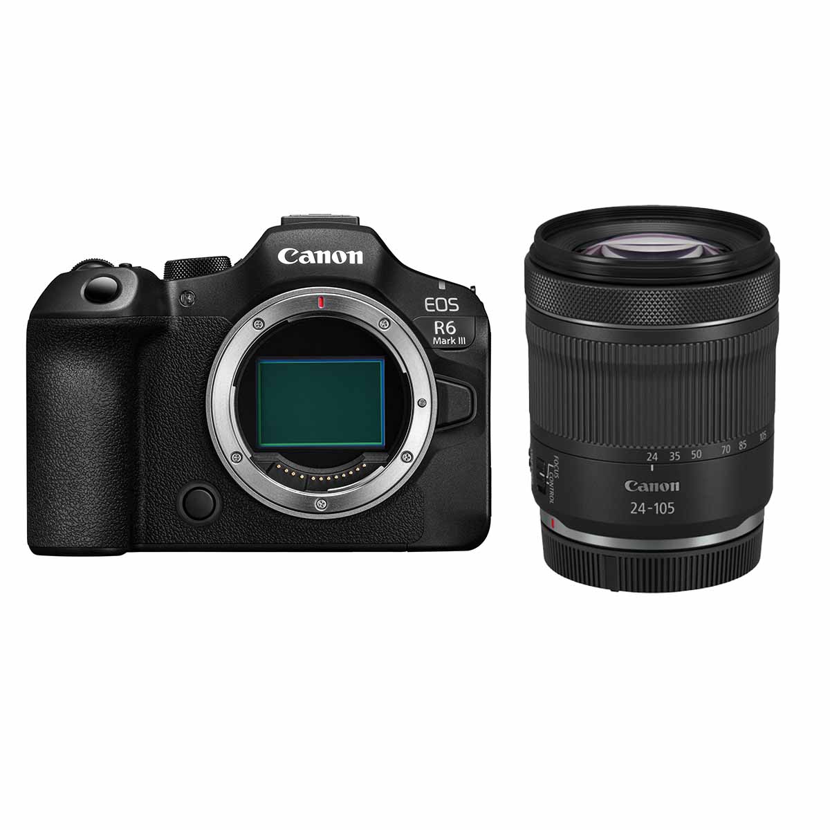 Canon EOS R6 Mark III + Canon 24-105 mm 1:4,0-7,1 RF IS STM
