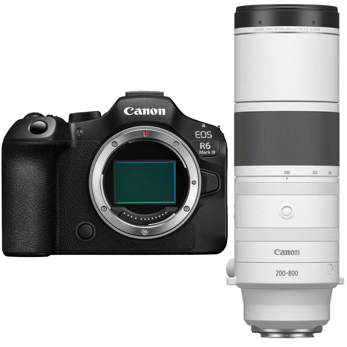 Canon EOS R6 Mark III mit Canon 200-800 mm 1:6,3-9,0 RF IS USM