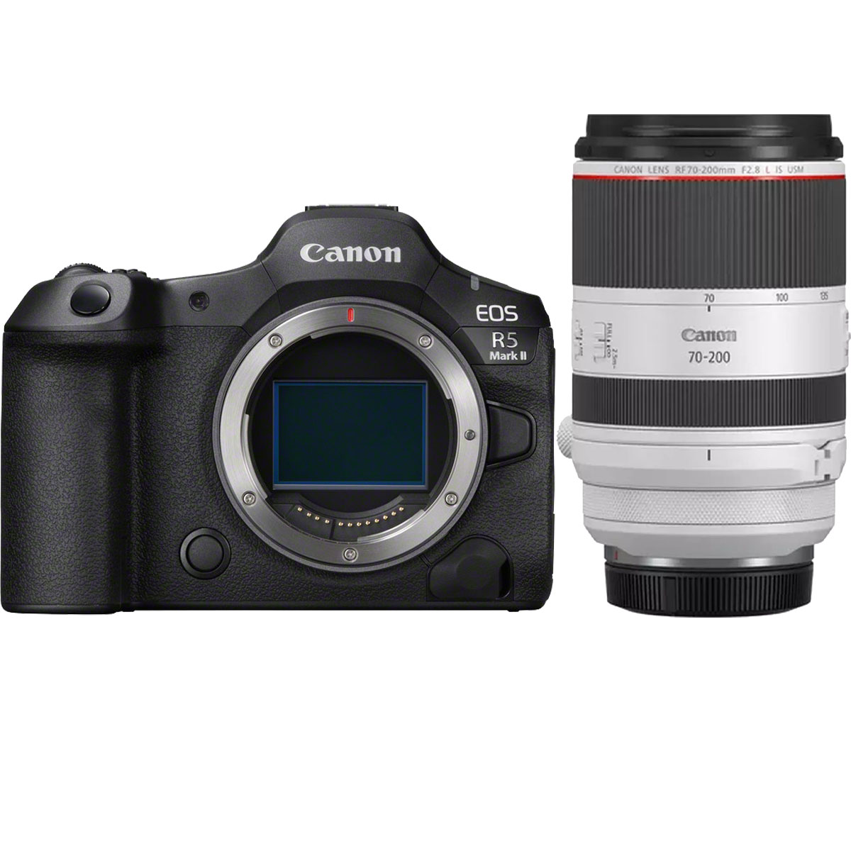 Canon EOS R5 II + Canon RF 70-200 mm 1:2,8 L IS USM Canon EOS R5 II + Canon RF 70-200 mm 1:2,8 L IS USM