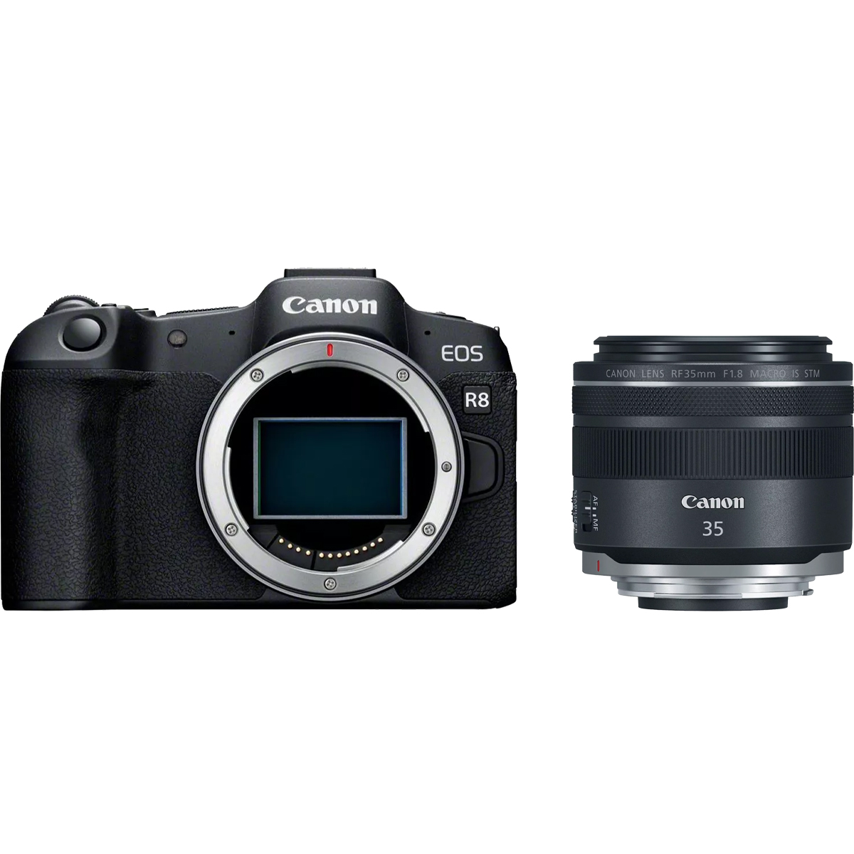 Canon EOS R8 + Canon RF 35 mm 1:1,8 IS Macro STM
