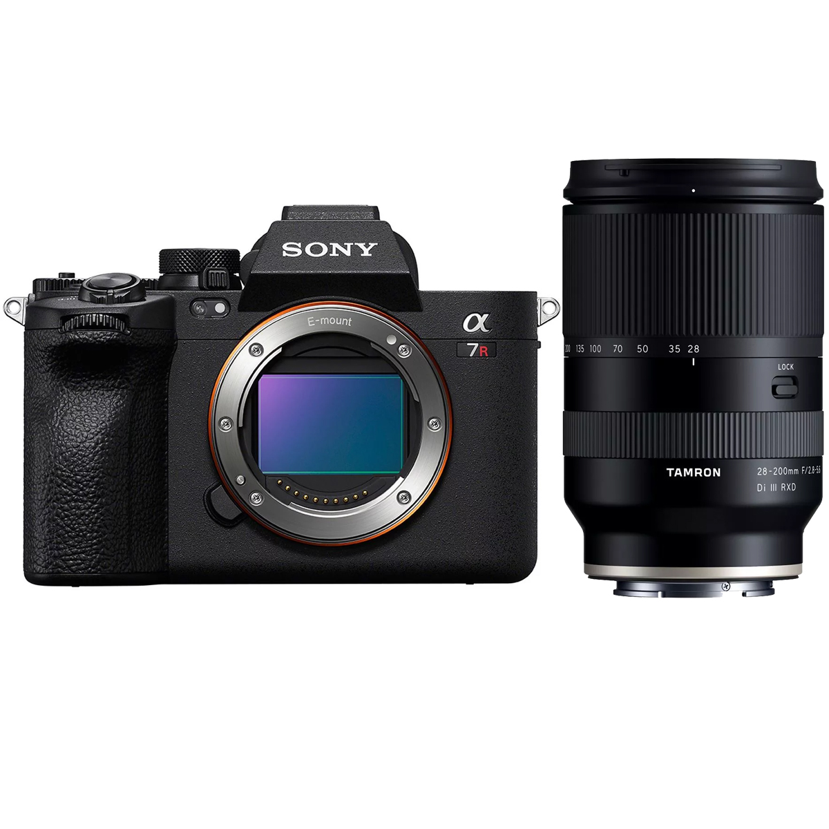 Sony Alpha 7R V + Tamron 28-200 mm