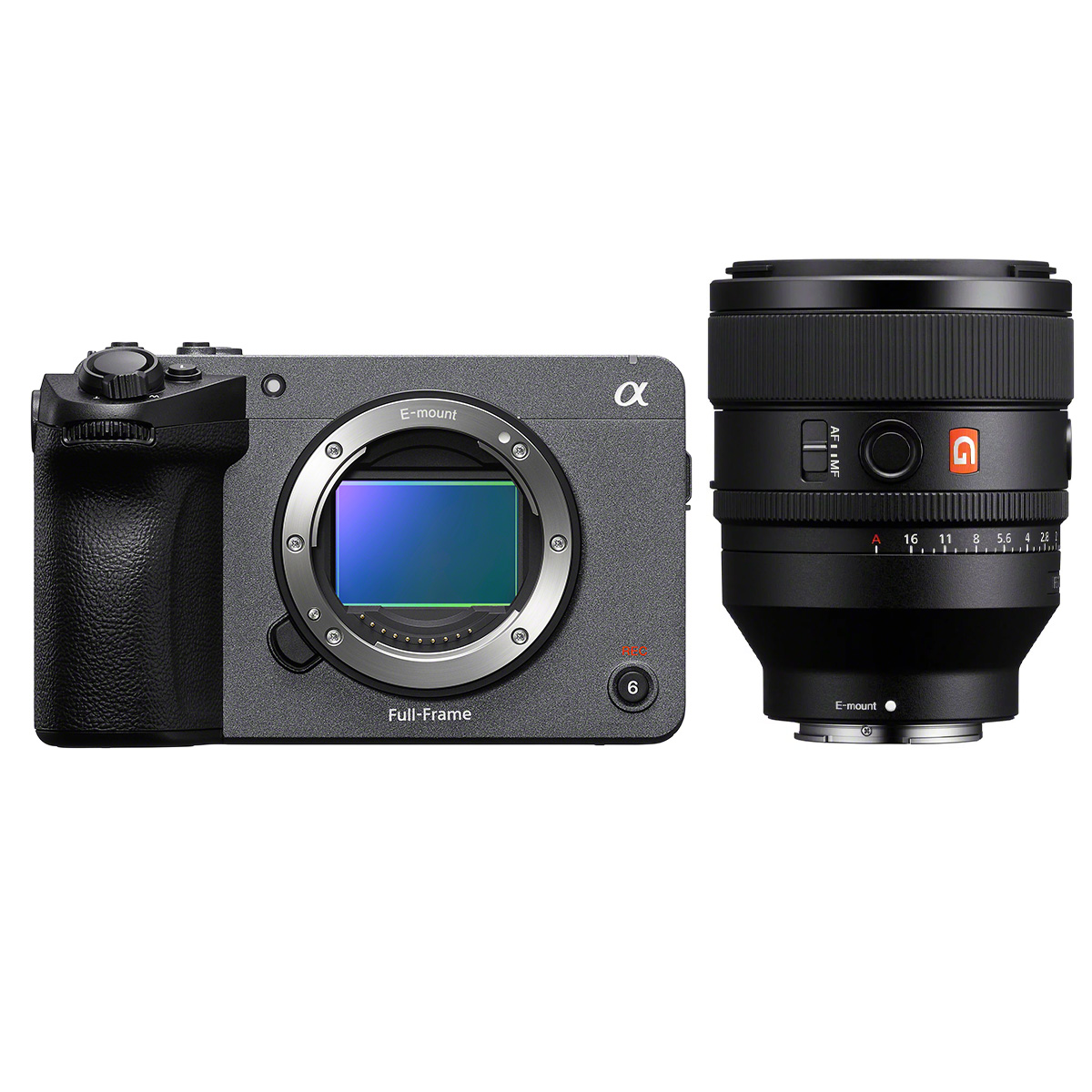 Sony ILME FX5 + Sony 50 mm 1:1,2 GM