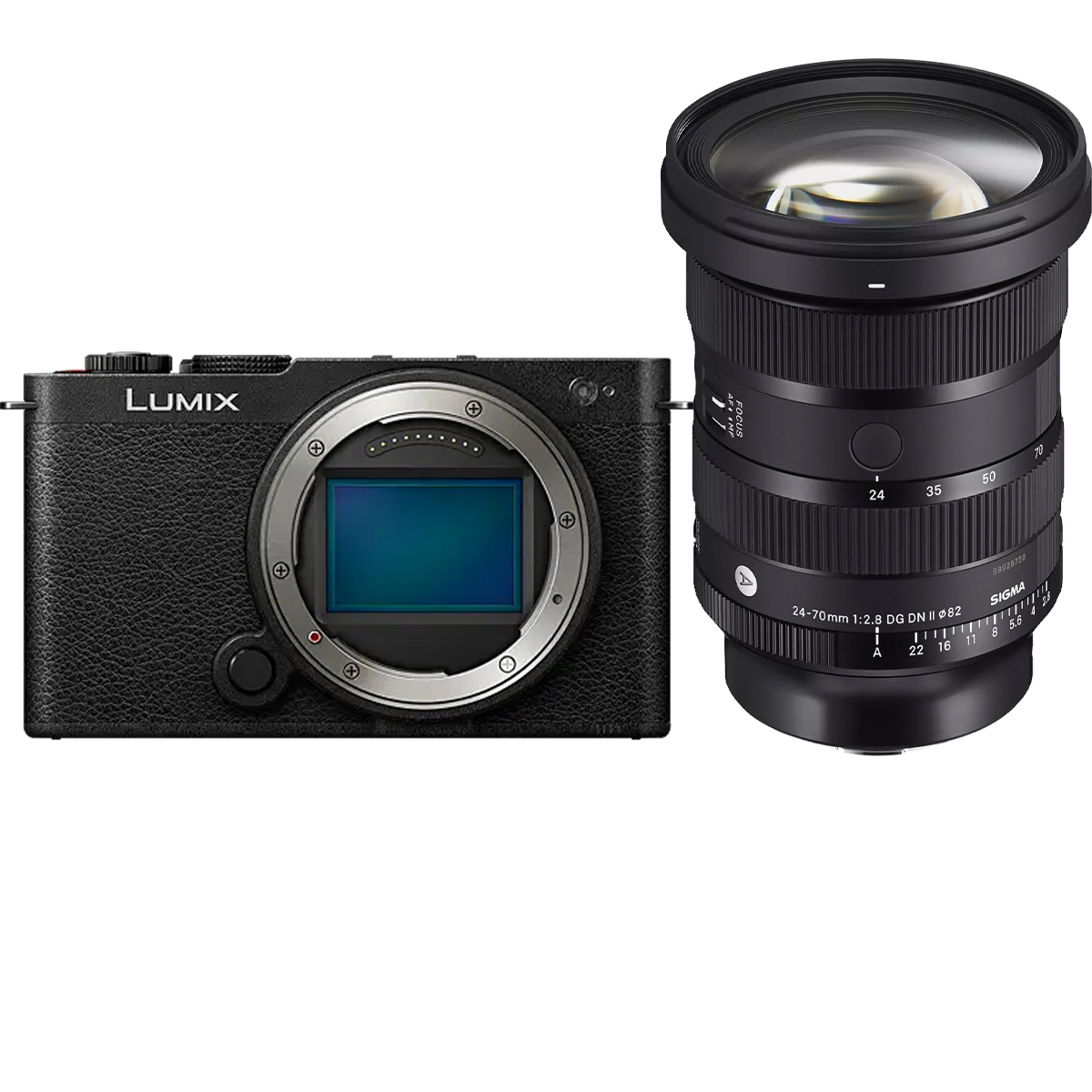 Panasonic Lumix DC-S9 + Sigma 24-70 mm 1:2,8 DG DN II (A) L-Mount