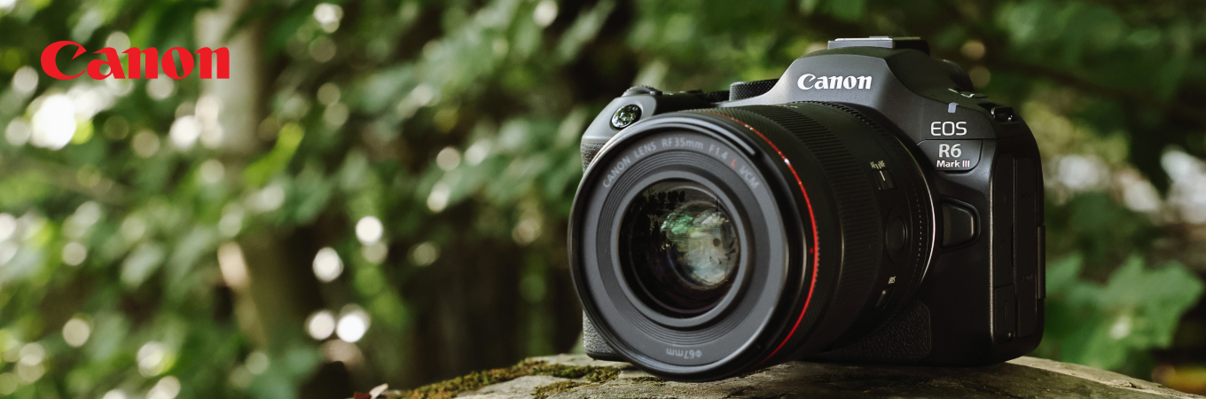 Canon EOS R6 Mark III als Headerbild für die Landingpage – Kamera auf Baumstamm im Wald.