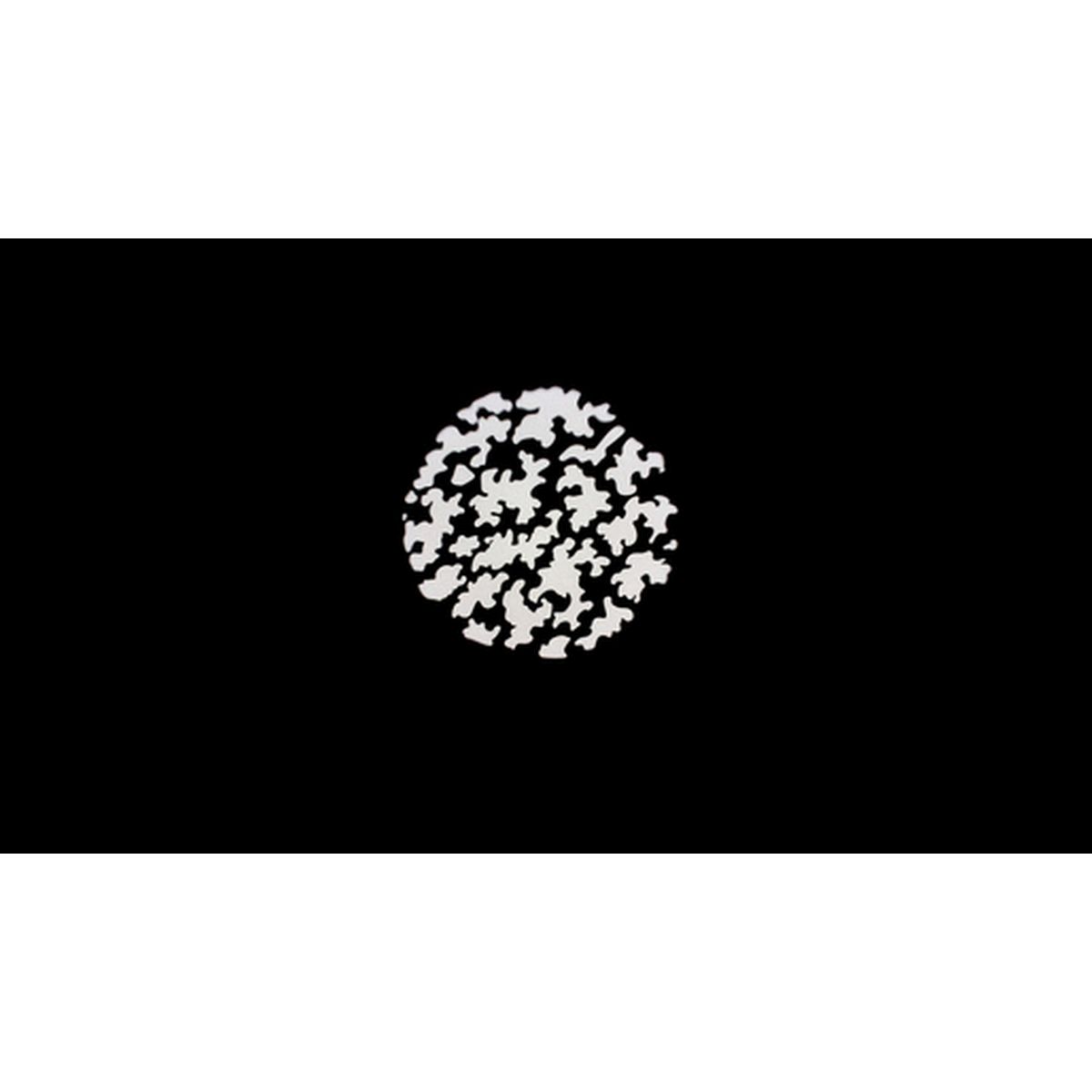 Nanlite PJ-BM-19 Projektionsvorsatz